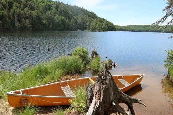 Canoe Algonquin, photo 2