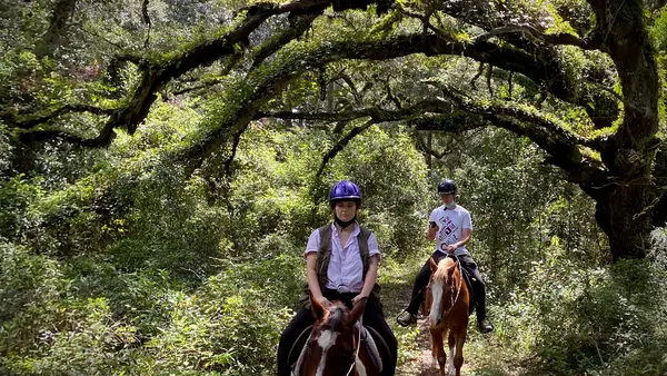 Canopy Oak Trails, photo 2