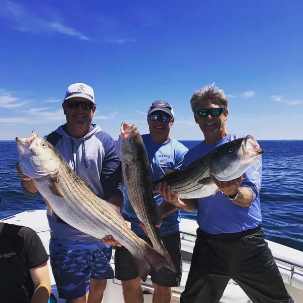 Cape Cod Family Charters