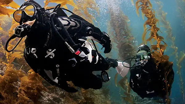Cape Dive & Travel
