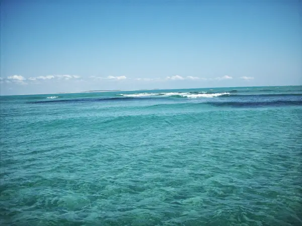 Cape Lookout Charters, Morehead City, NC