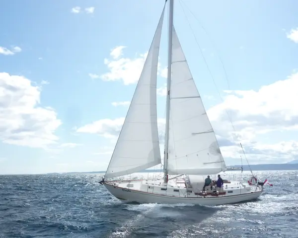 Capt Mac's School Of Seamanship, photo 4