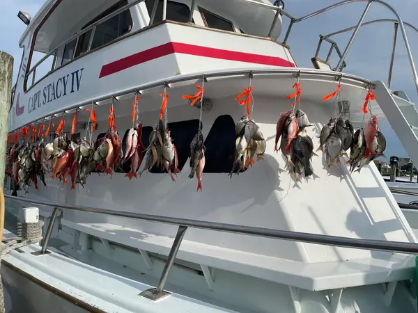 Capt. Stacy Fishing Center, Atlantic Beach, NC