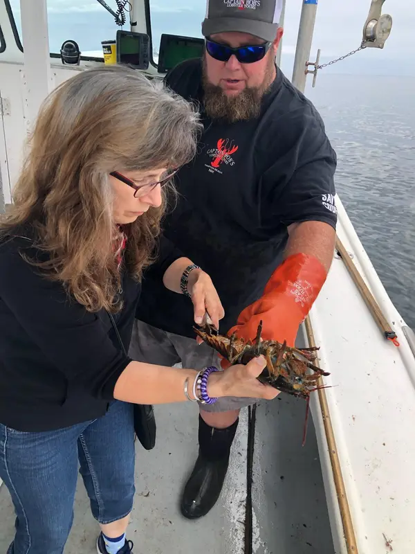 Captain Bobs Lobster Tours & Fishing Charters, Hampton, NH