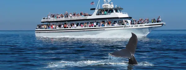 Captain John Boats, Plymouth, MA