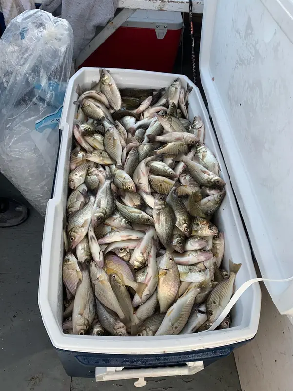 Captain Price Charters