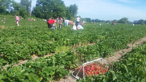 Carandale Farm, Oregon, WI