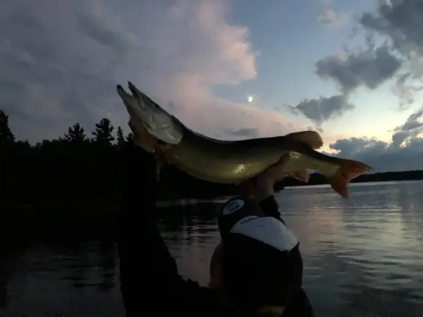 Carls Fishing Guide Service, photo 3