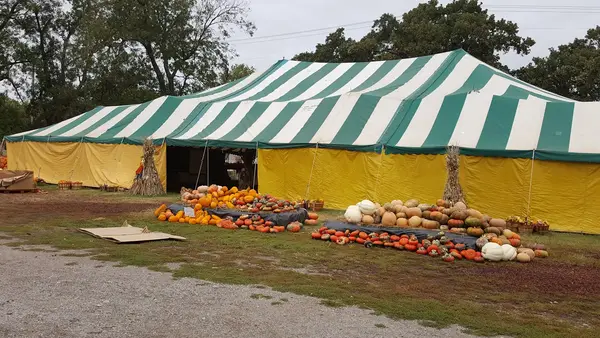 Carmichael's Pumpkin Patch, Bixby, OK