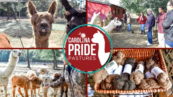 Carolina Pride Pastures, Pomaria, SC