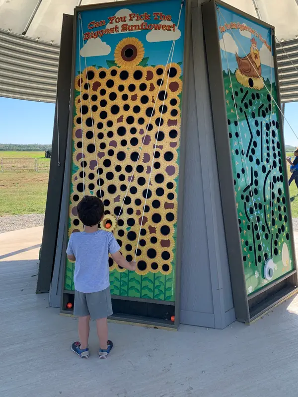 Carolyn's Pumpkin Patch, Liberty, MO