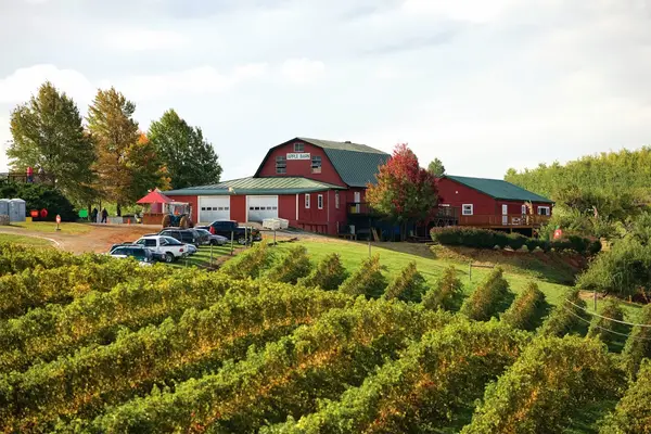 Carter Mountain Orchard, Charlottesville, VA