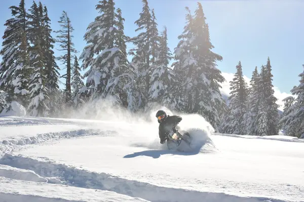 Cascade Snow Bike