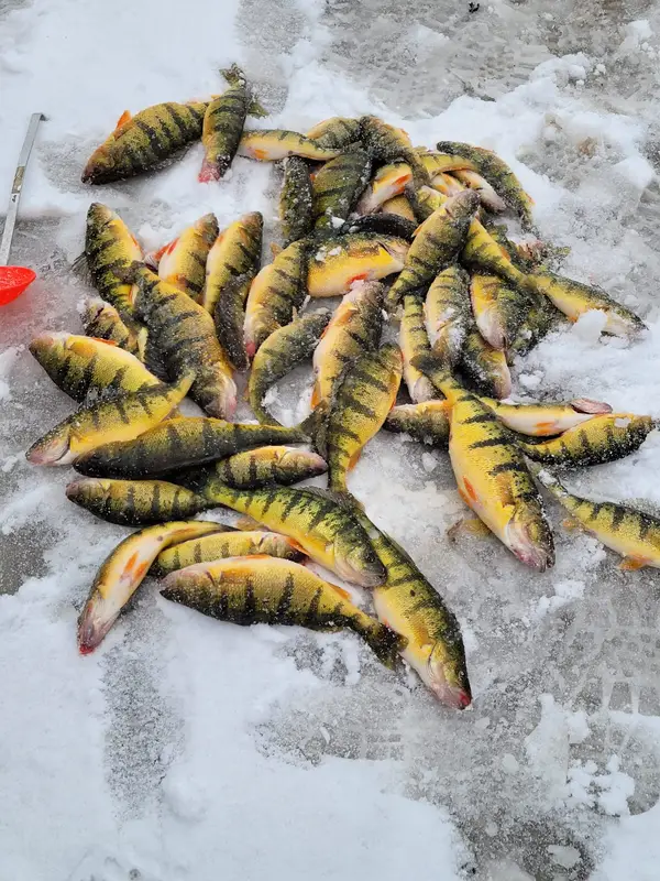 Casey's Fish Huts on Lake Simcoe, photo 1
