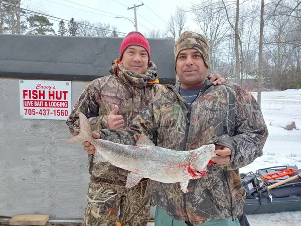 Casey's Fish Huts on Lake Simcoe, photo 2