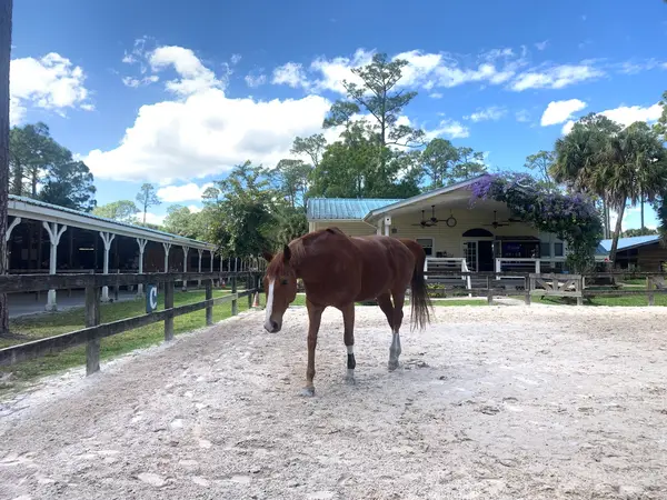 Casperey Stables, photo 1