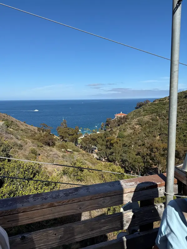 Catalina Zip Line Eco Tour, photo 3