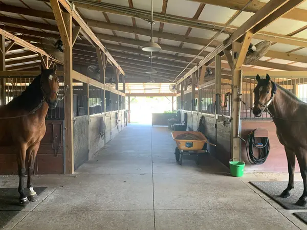 Cavallino Farms, photo 1