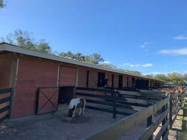 Cavallino Farms, photo 2