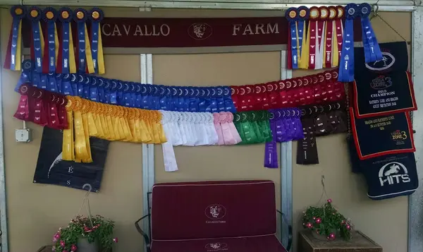 Cavallo Farm