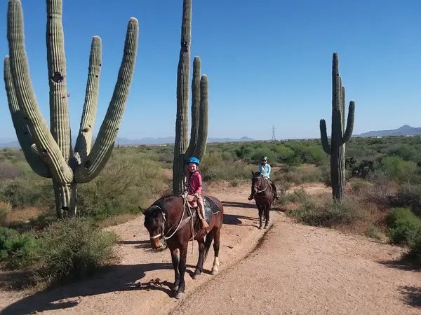 Cave Creek Outfitters, Horseback Riding, UTV/ATV Rental (Booking Office)