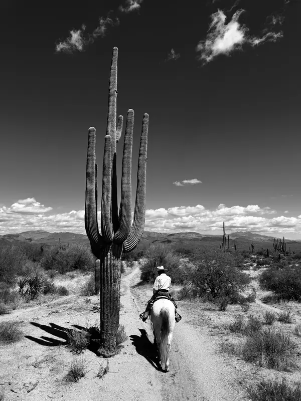 Cave Creek Outfitters, Horseback Riding, UTV/ATV/SXS PJ's Rentals