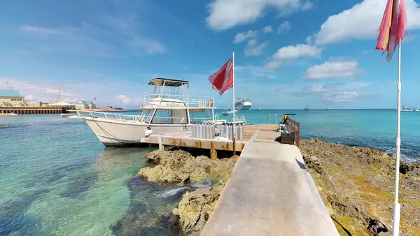 Cayman Diving