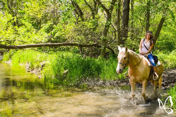 Cedar Creek Ranch