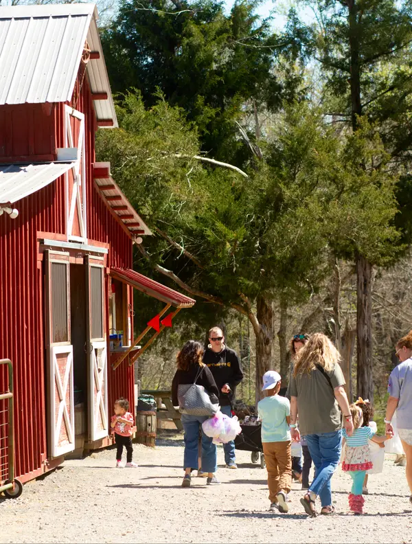 Cedar Hill Farm, The Barn., Hernando, MS