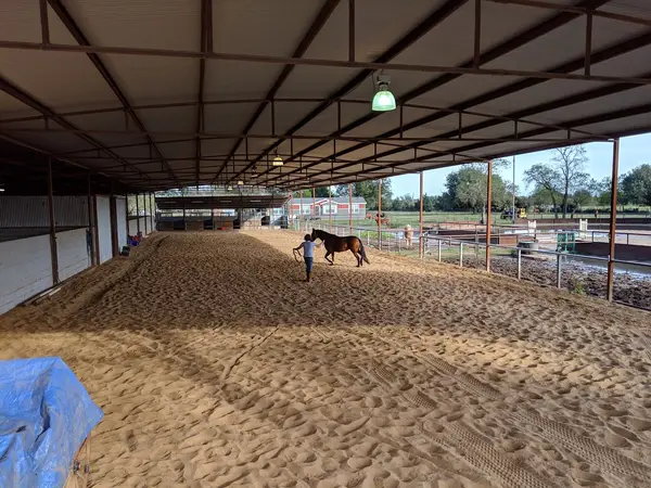 Cedar Lane Stables, photo 1