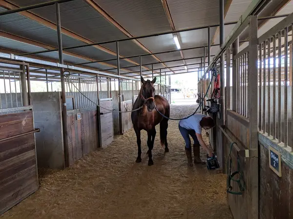 Cedar Lane Stables, photo 3