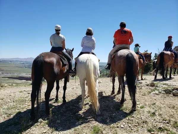 Cedar Mountain Trail Rides