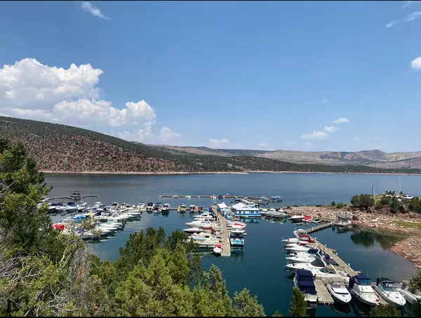 Cedar Springs Marina