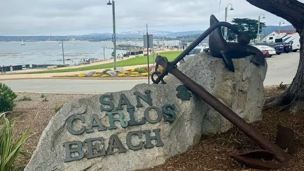 Central Coast Scuba