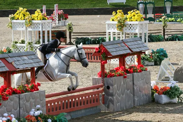 Central Florida Equestrian Center
