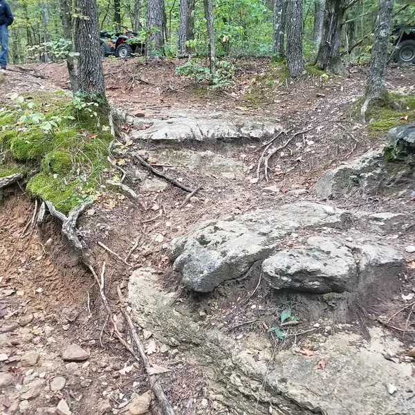Chadwick Motorized Trails
