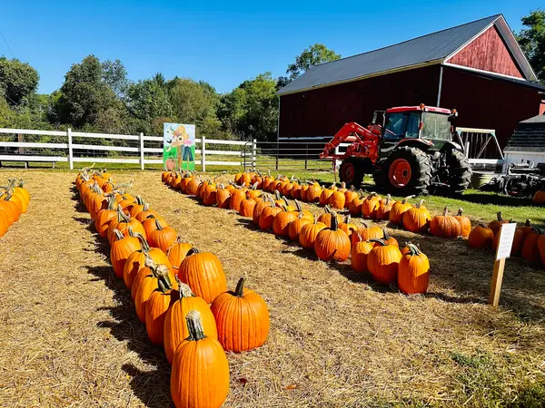 Chambers Family Farm, Pinckney, MI
