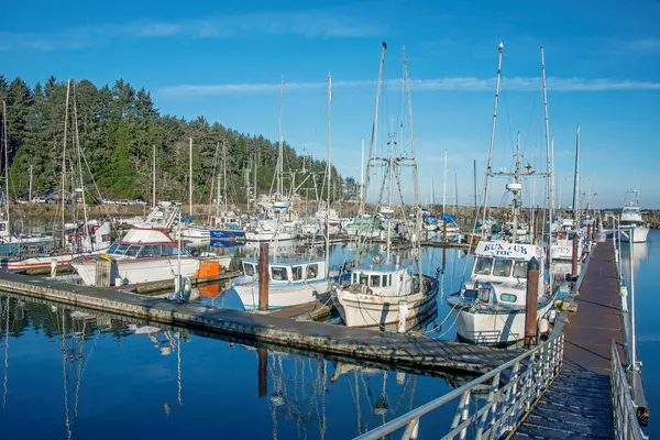 Charleston Marina