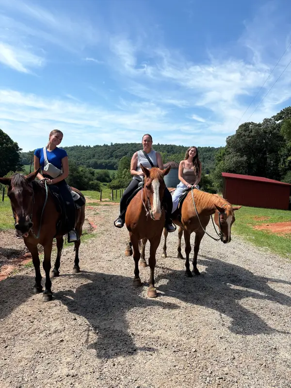 Chattahoochee Stables