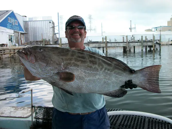 Cheap Fishing Key West