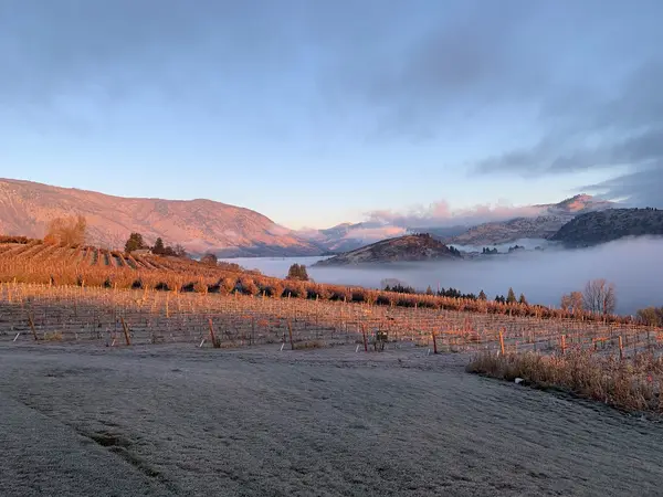 Chelan Valley Farms, Manson, WA