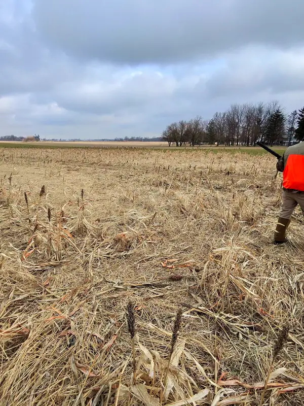 Cherrybend Pheasant Farm
