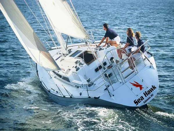 Chesapeake Bay Charters