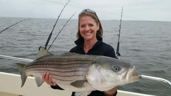Chesapeake Bay Sport Fishing