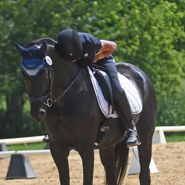 Chesapeake Central Equestrian, L.L.C.