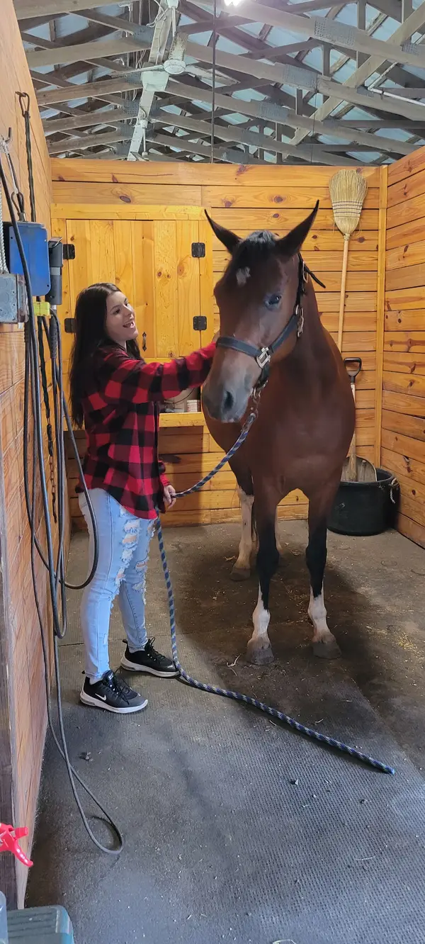 Chestnuthill Arabians, photo 2