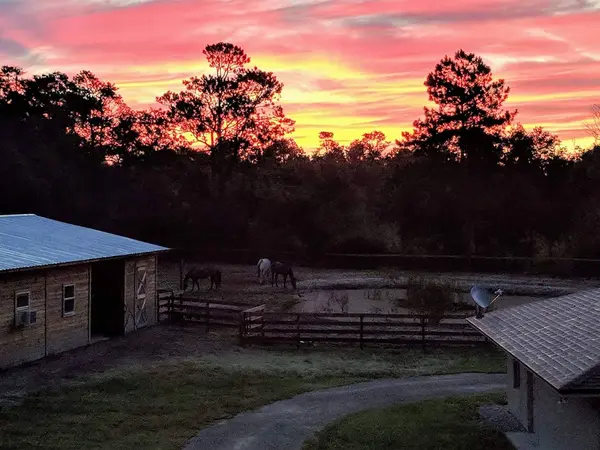 Cheyne Ranch, Inc.