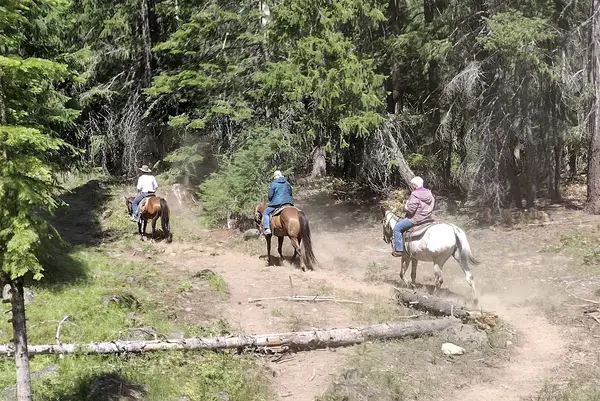 CHINOOK PASS OUTFITTERS Elk camps & Horseback Rides