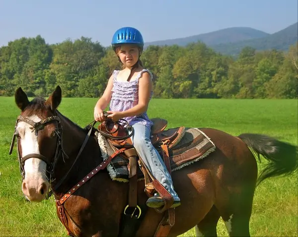 Chipman Stables