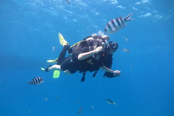 Chloe's Diving Center - Scuba Diving In Hurghada